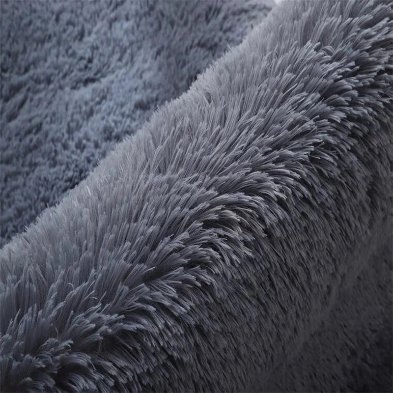 Tapis Salon Poils Longs Crème