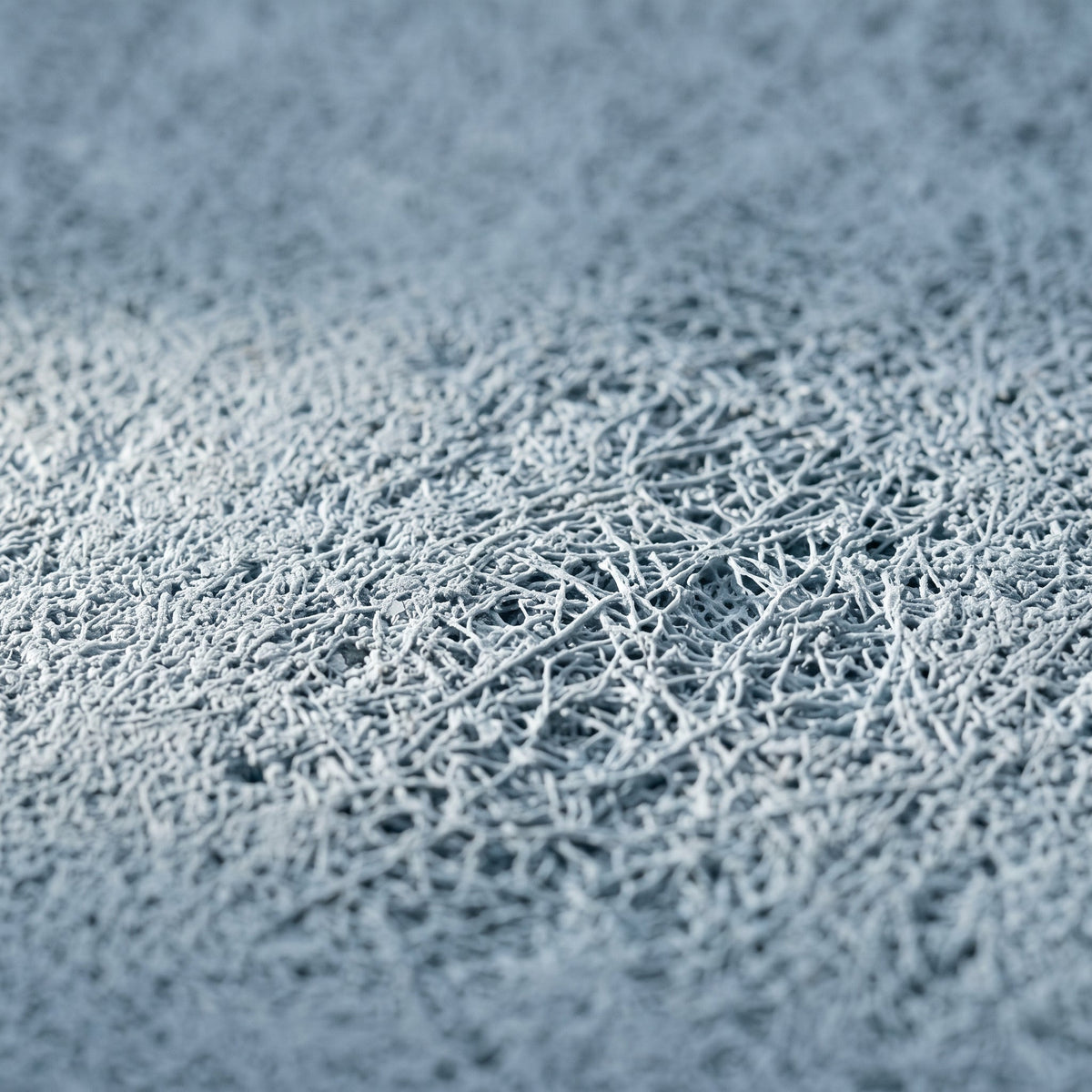 Gros plan sur la matière du Tapis de Bain Terre de Diatomées Bleu Insignes