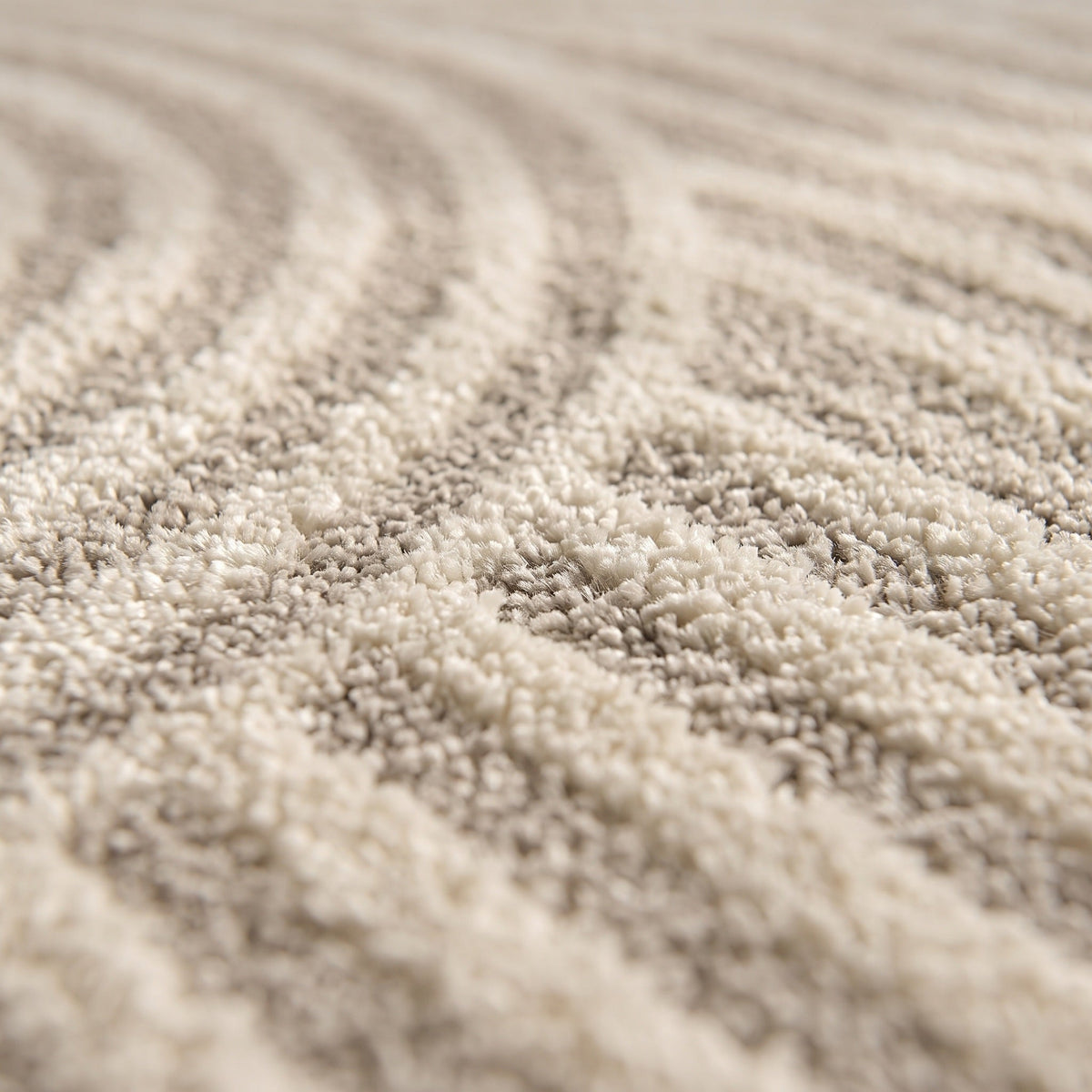 Tapis Salon Minimaliste Fernand