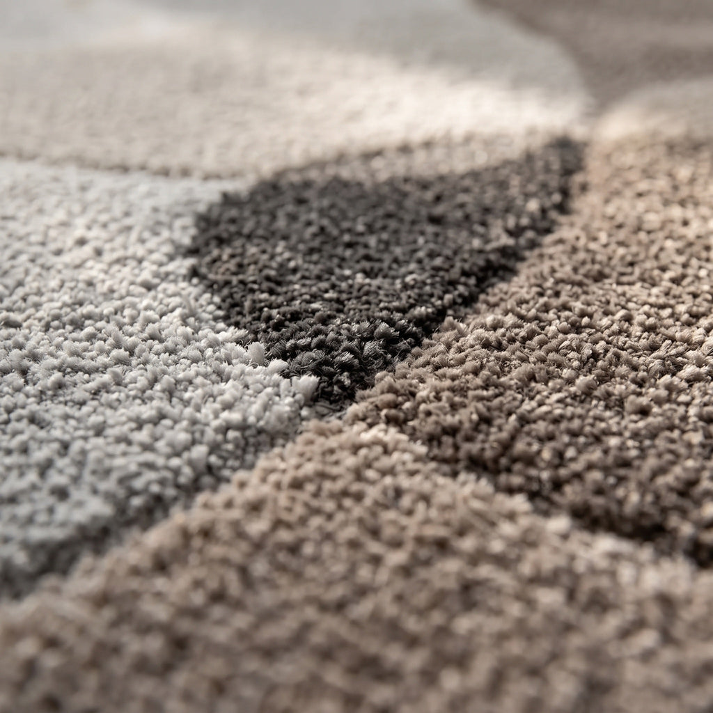 Tapis Salon Minimaliste Firmin