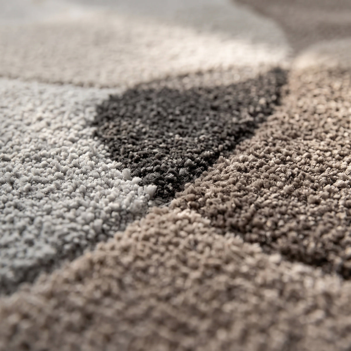 Tapis Salon Minimaliste Firmin