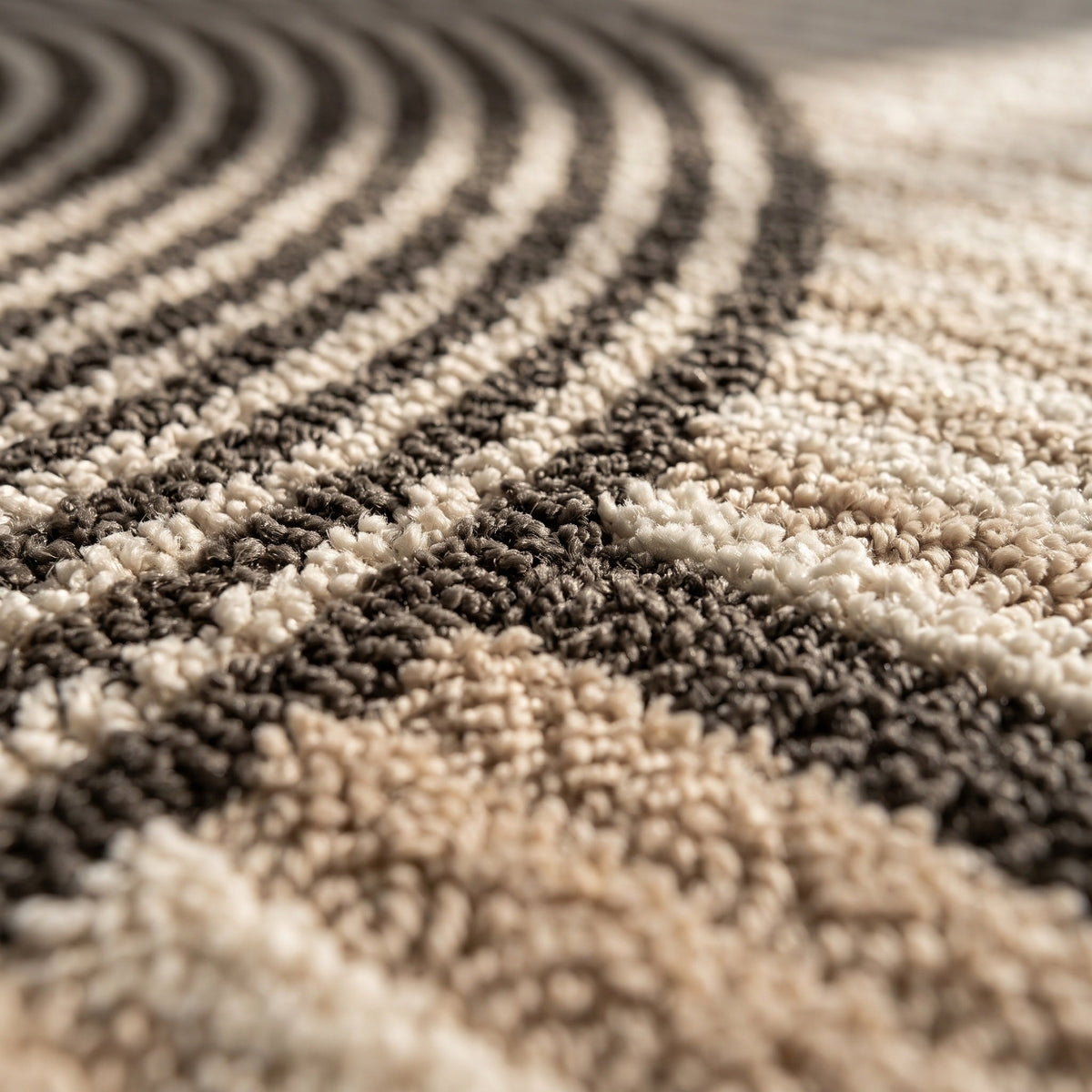 Tapis Salon Minimaliste Fleurine