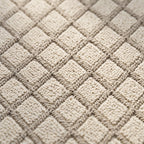 Tapis Salon Minimaliste Haude