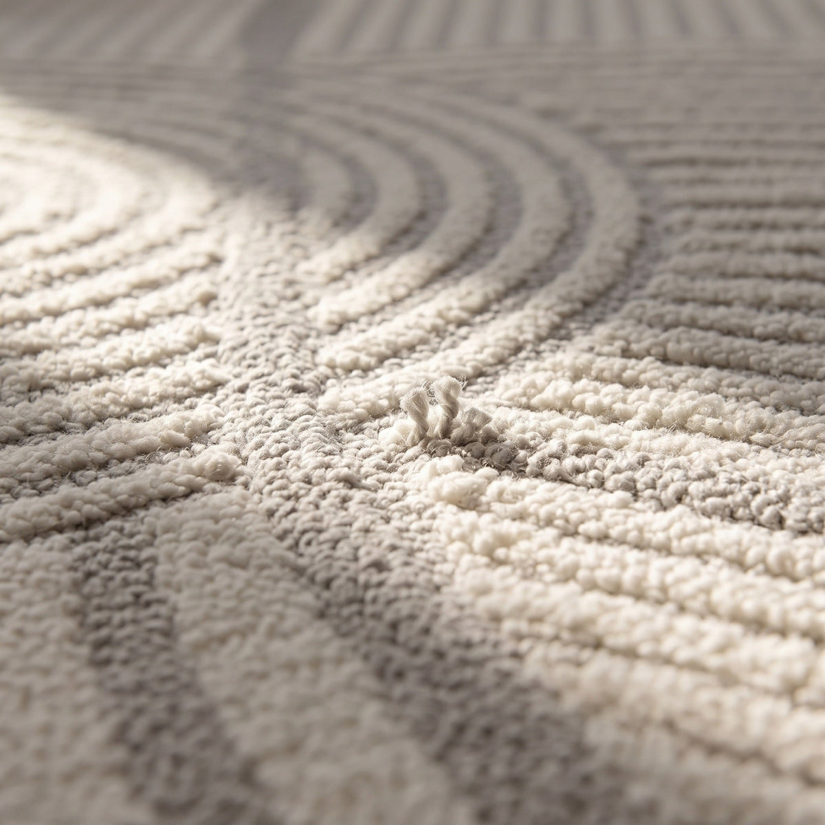 Tapis Salon Minimaliste Hilaire
