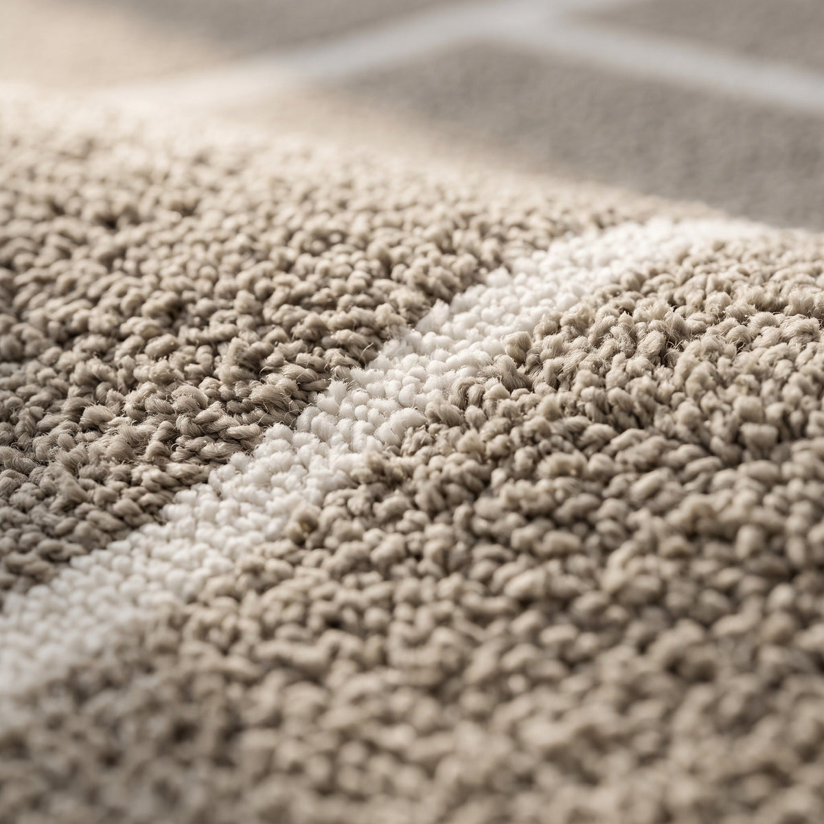 Tapis Salon Minimaliste Hubert