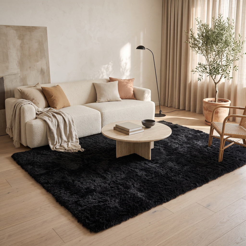 Tapis Salon Minimaliste Vianney