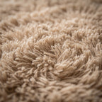 Tapis Salon Minimaliste Victorine