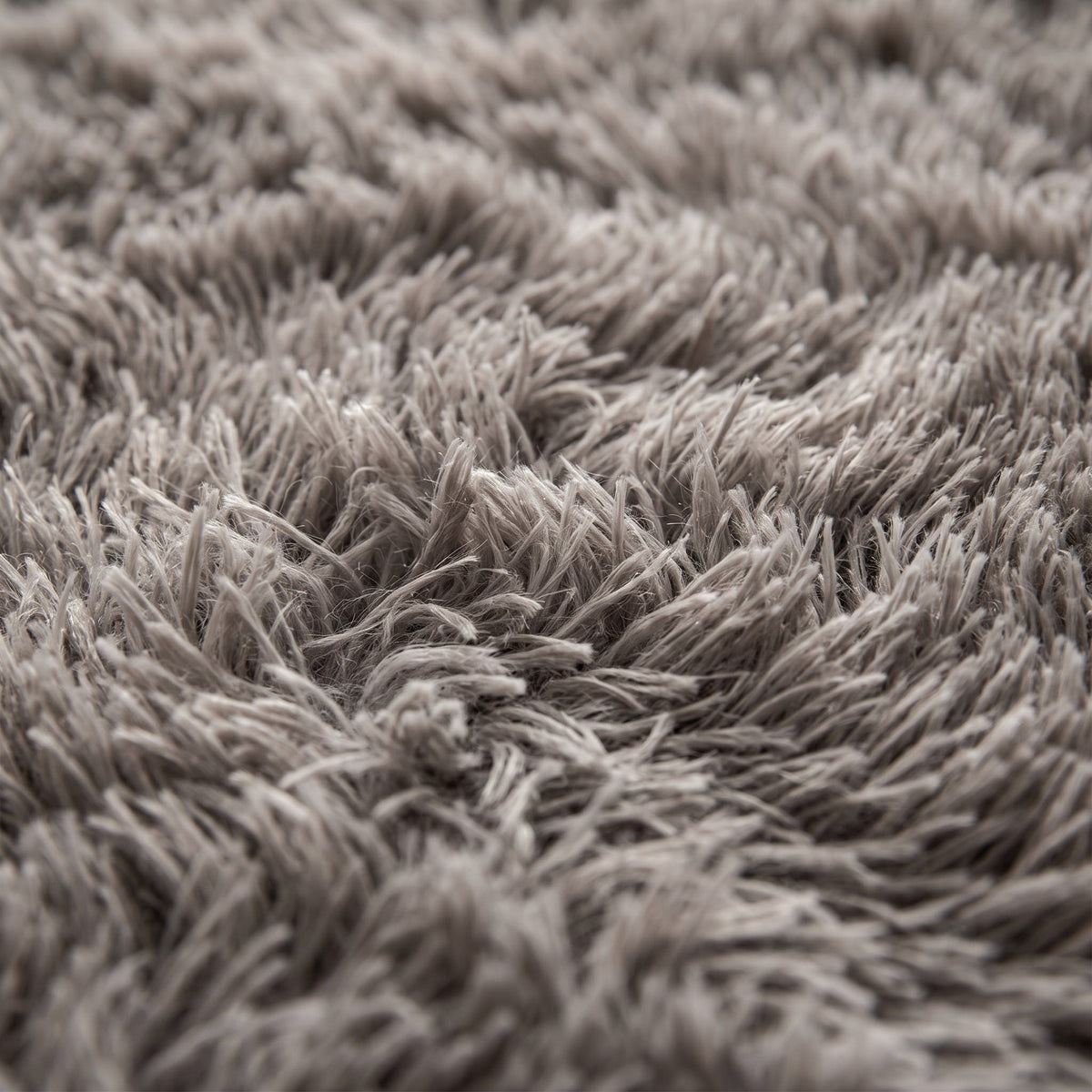 Tapis Salon Minimaliste Violette