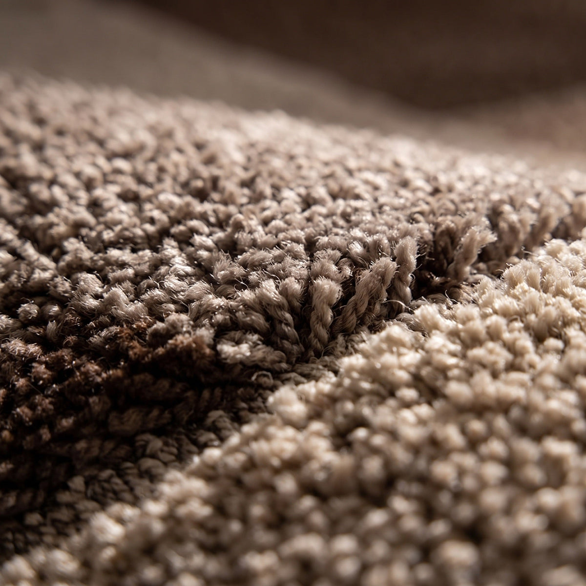 Tapis Salon Moelleux Lévy