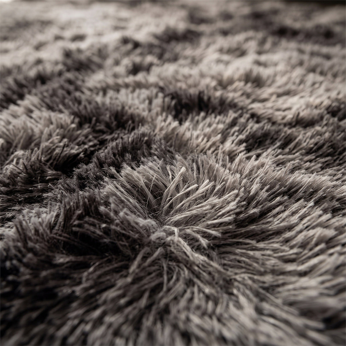 Tapis Salon Shaggy Guillemette