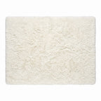 Tapis Salon Shaggy Léontine