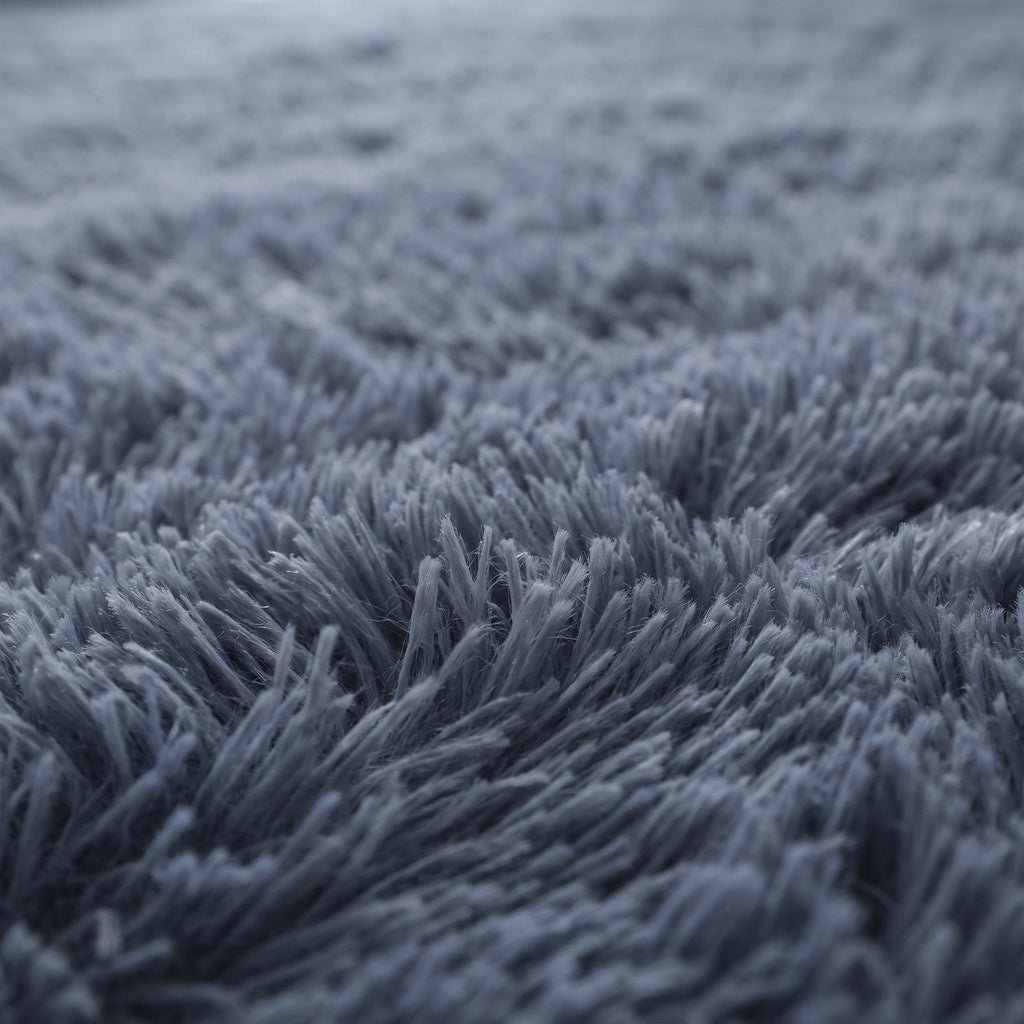 Tapis Salon Shaggy Thomas